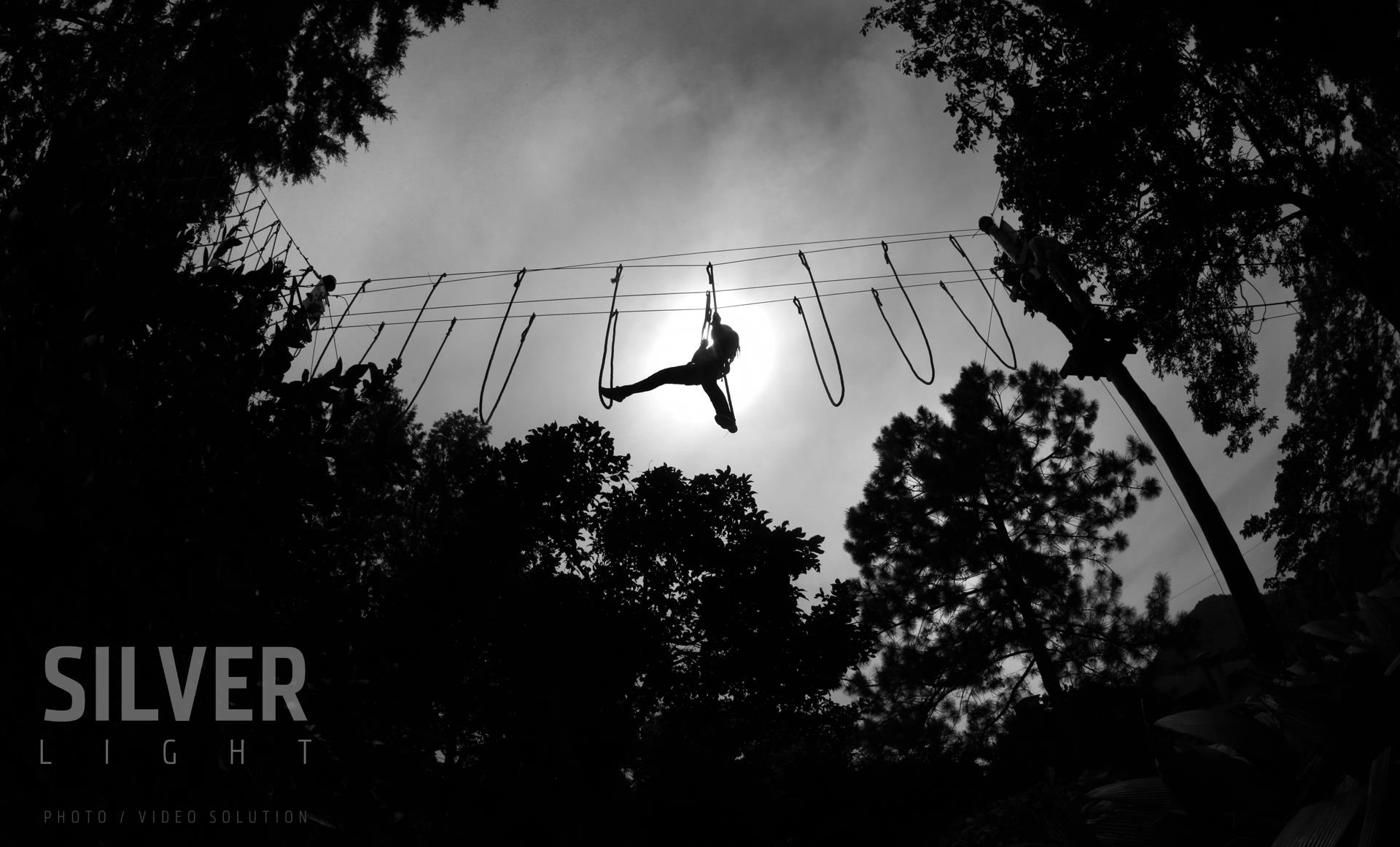 460086 496655920374931 945504427 o